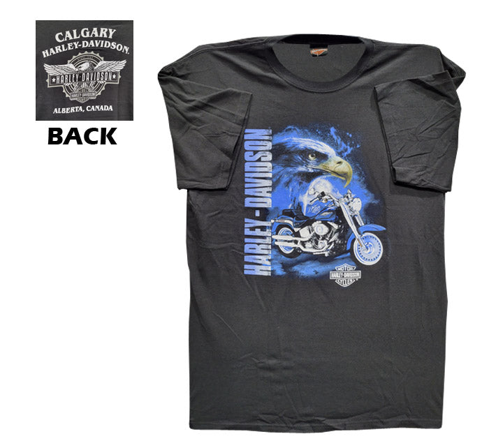 Men's S/S Tee - Night Eagle - Calgary Harley-Davidson®